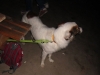 ak_carodky_058